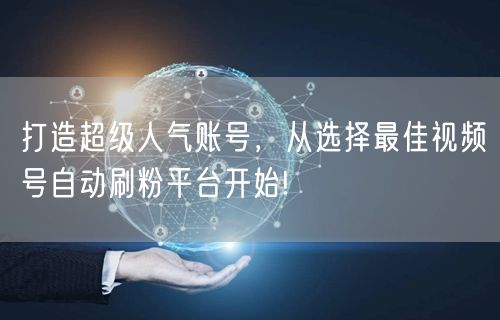 打造超级人气账号，从选择最佳视频号自动刷粉平台开始!